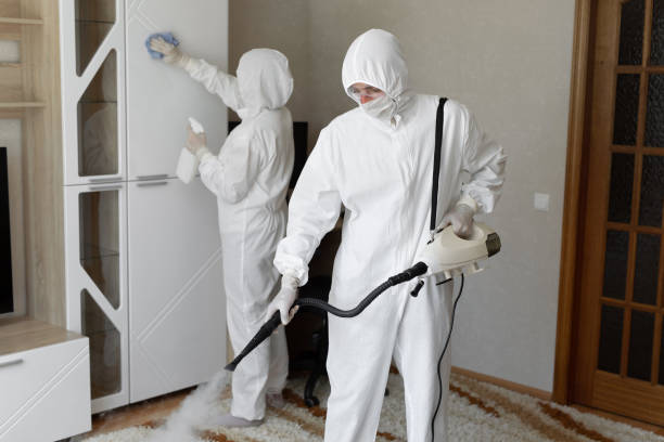 24/7 Emergency Odor Removal experts in Jackson, WY
